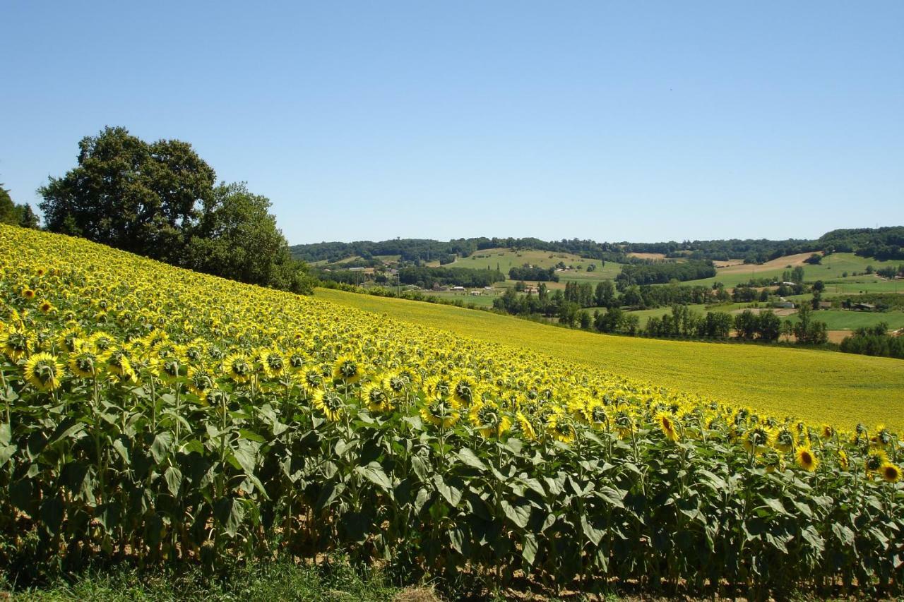 La Maison De Maitre Sainte-Livrade-sur-Lot Eksteriør bilde