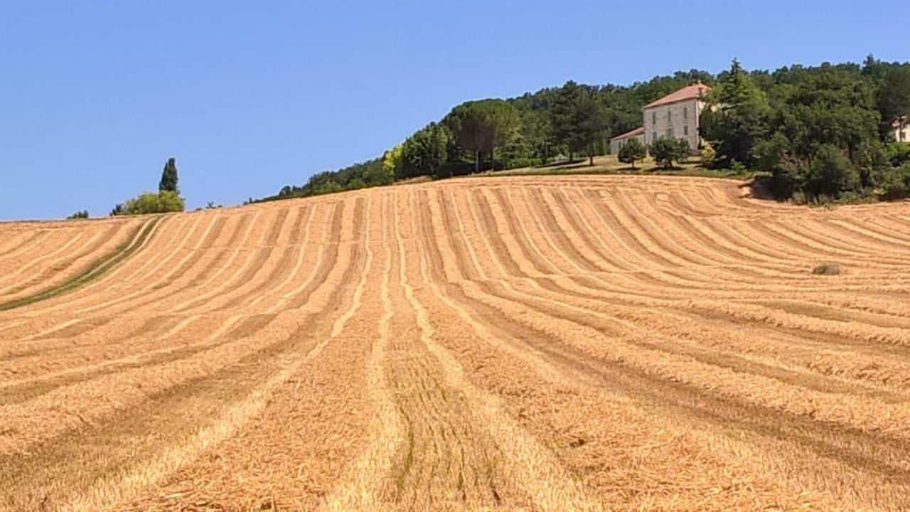 La Maison De Maitre Sainte-Livrade-sur-Lot Eksteriør bilde